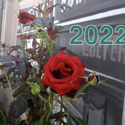 Gasse_Rose_2022